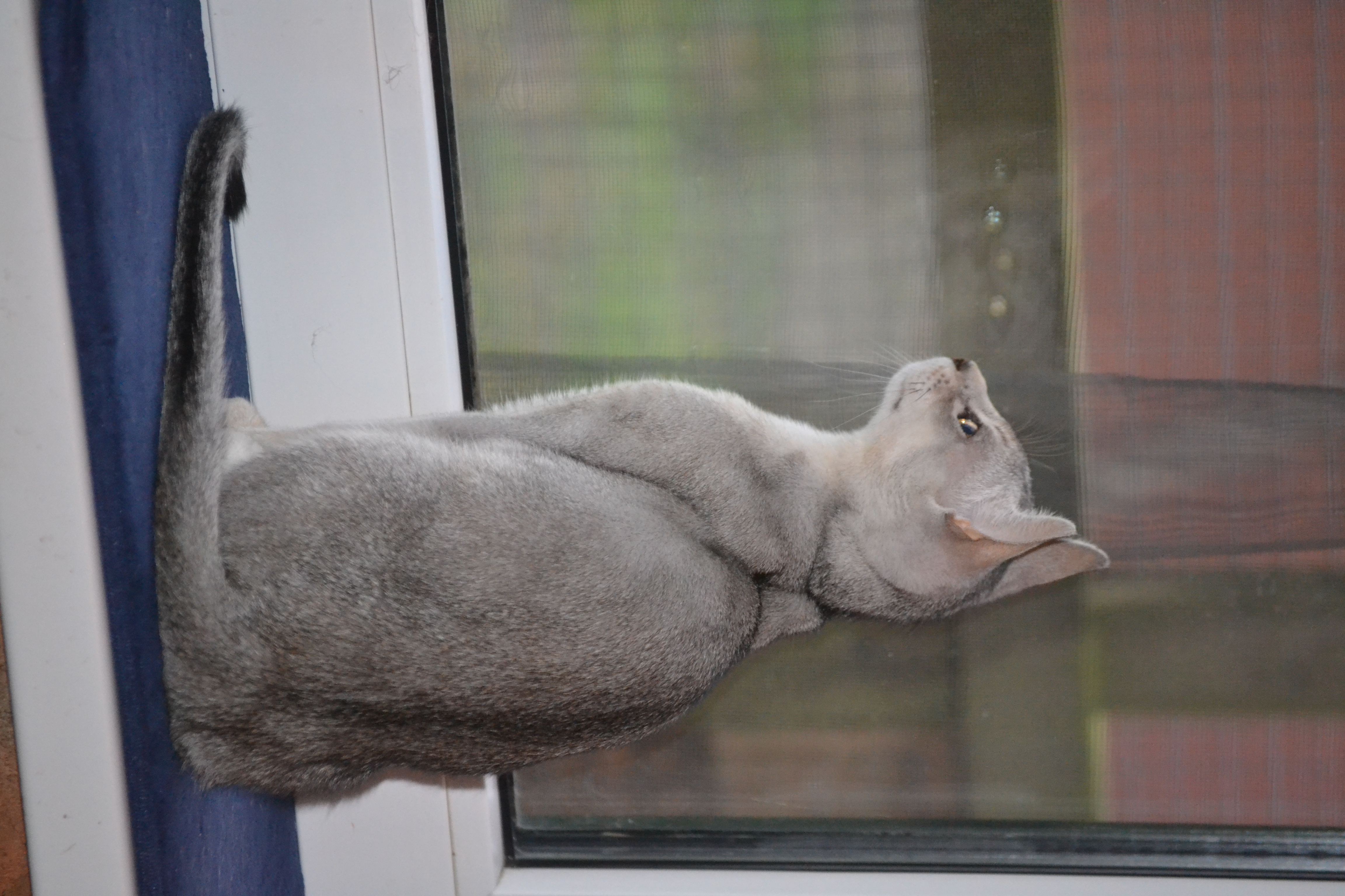 DSC_0007.JPG