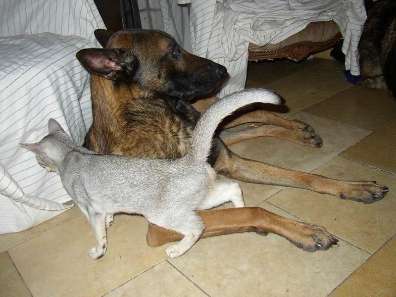 db_080223_sylvi-jake-031.jpg