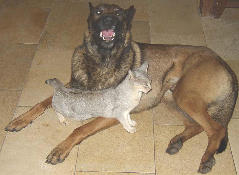 db_080413_Sylvi_jake-021.jpg