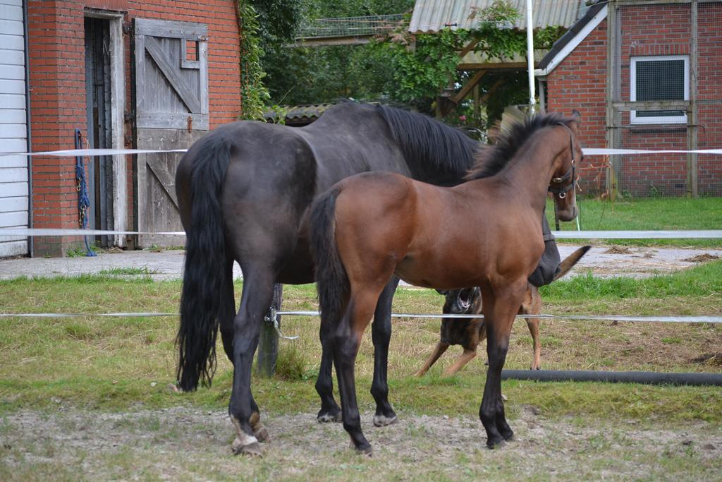 Hipolit_12_13-09-2012.jpg