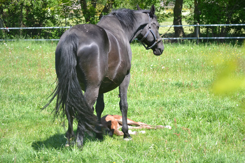 KEN_150524_8.JPG