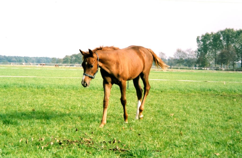 UDO-010901_01.jpg