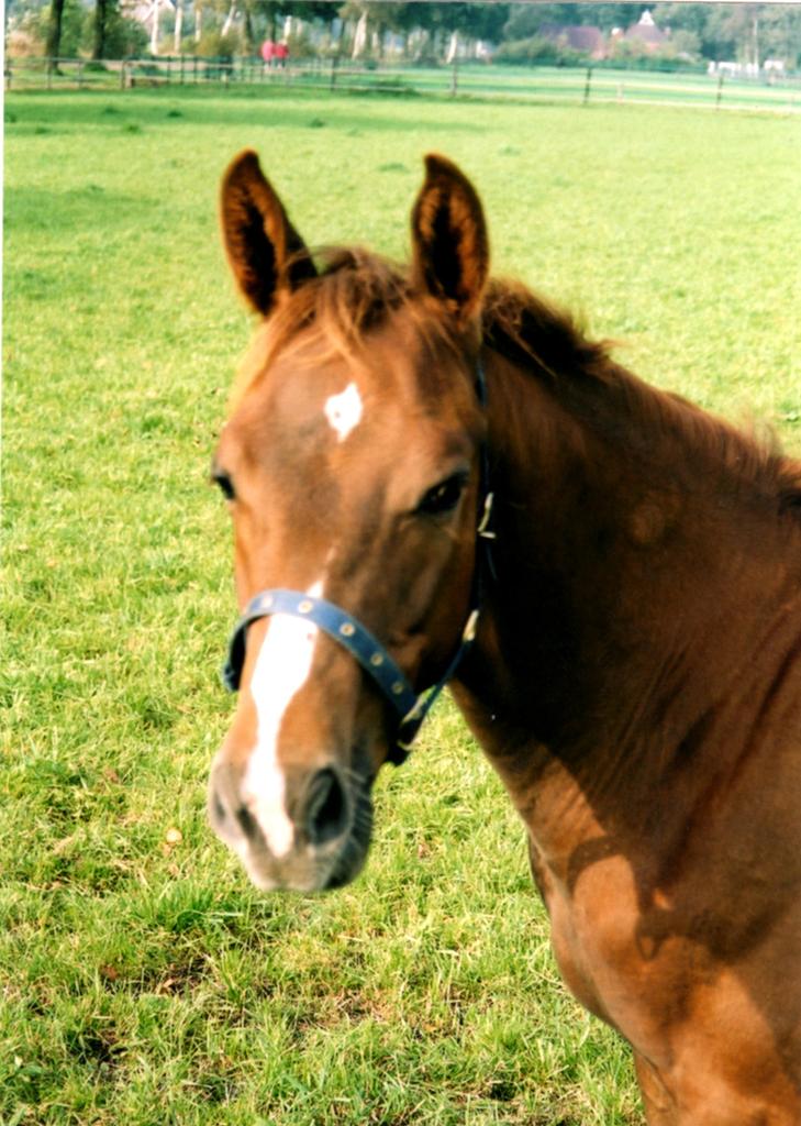 UDO-010901_04.jpg